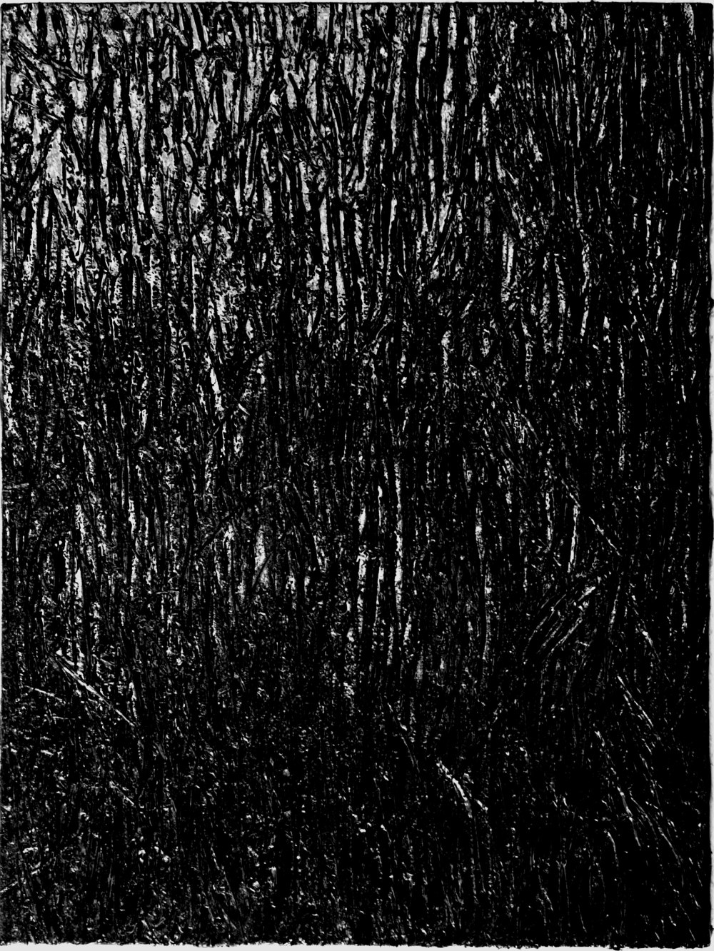 Black still life - 80x60 cm