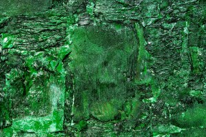 green-burned-35x50-cm