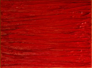 red-still-life-60x80-cm