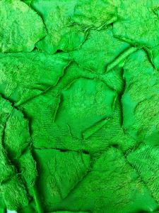 Green Flowers tela 30 x 30 cm